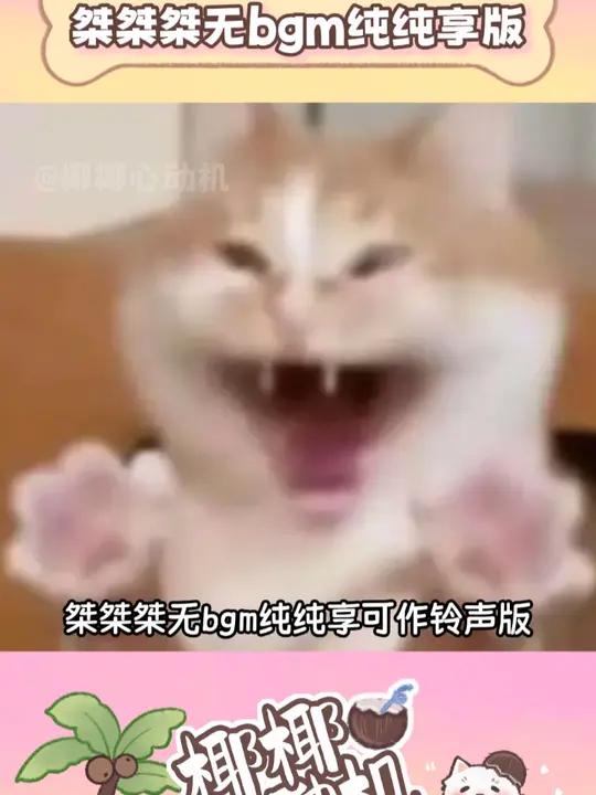 桀桀桀无bgm纯纯享可作铃声版 有需要的宝可以下载!(但是自己听着发出灵魂质疑:这对吗 应