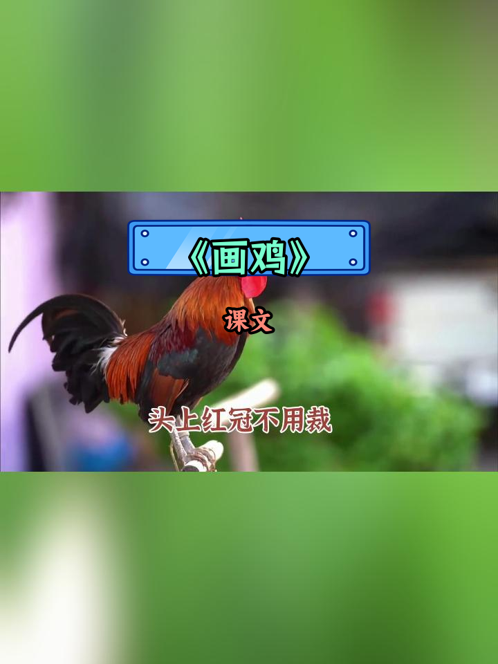 一年级语文下册《画鸡》课文朗读