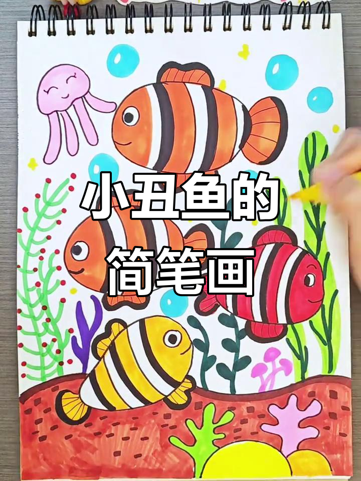 画可爱小丑鱼，步骤简单又有趣
