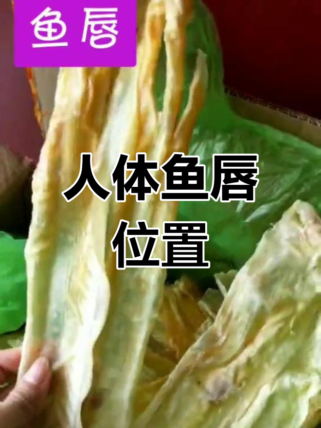 鱼唇是指哪个部位