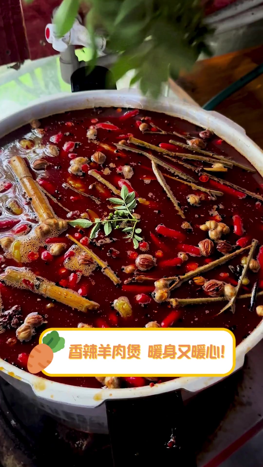 香辣羊肉煲,暖身又暖心!