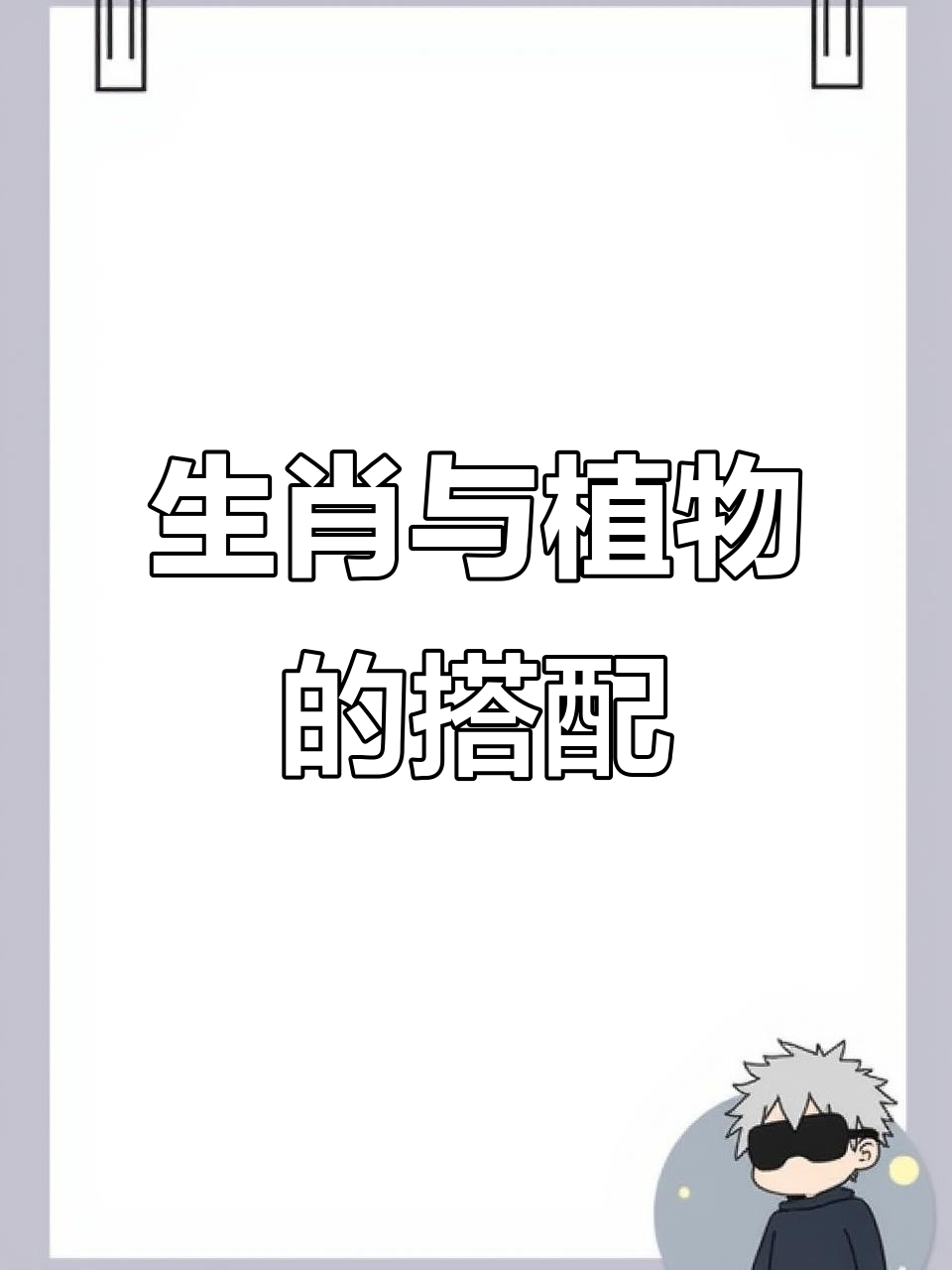 生肖植物推荐:猴鸡狗猪的幸运绿植