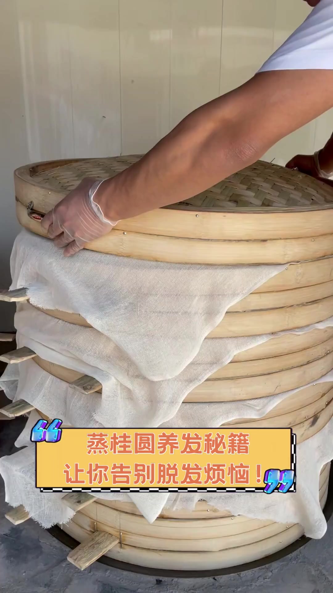 蒸桂圆养发秘籍,让你告别脱发烦恼!