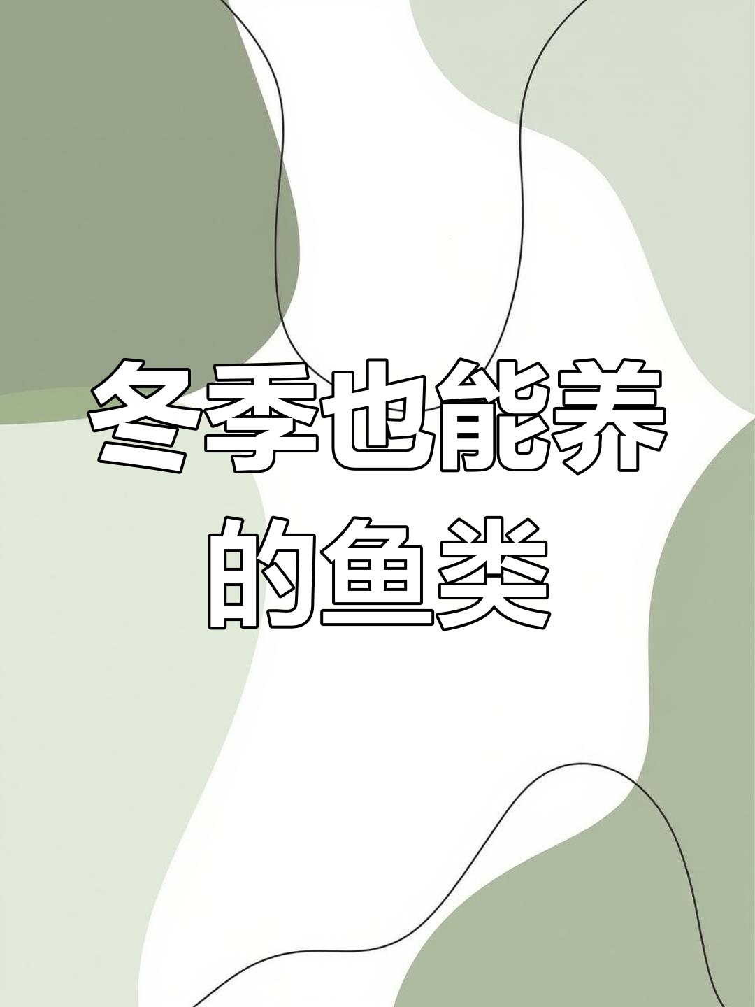 淡水银鳕鱼,冬季也能生存,轻松饲养,一年长三斤