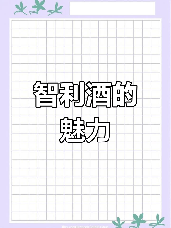 智利葡萄酒,红白皆宜,品质保证