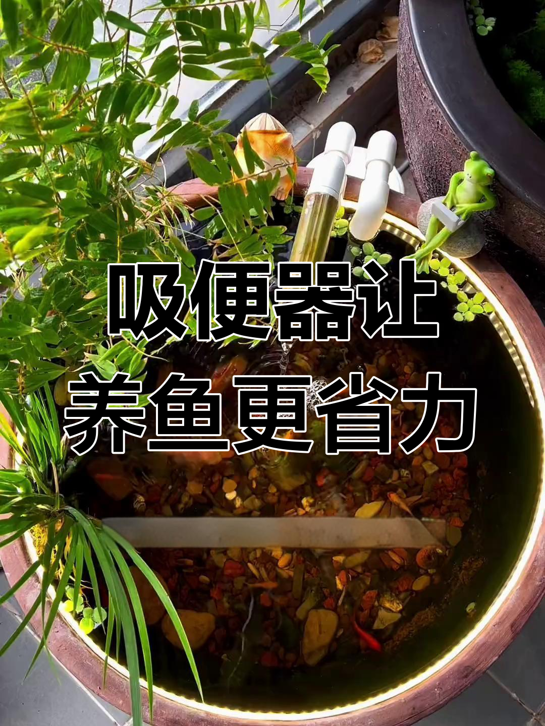 鱼缸吸便器轻松清理粪便,底沙无残留