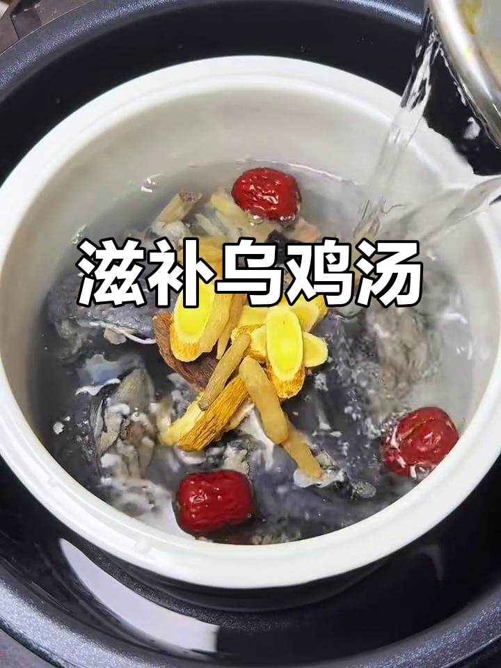 每周炖一碗乌鸡汤,补气血效果超乎想象