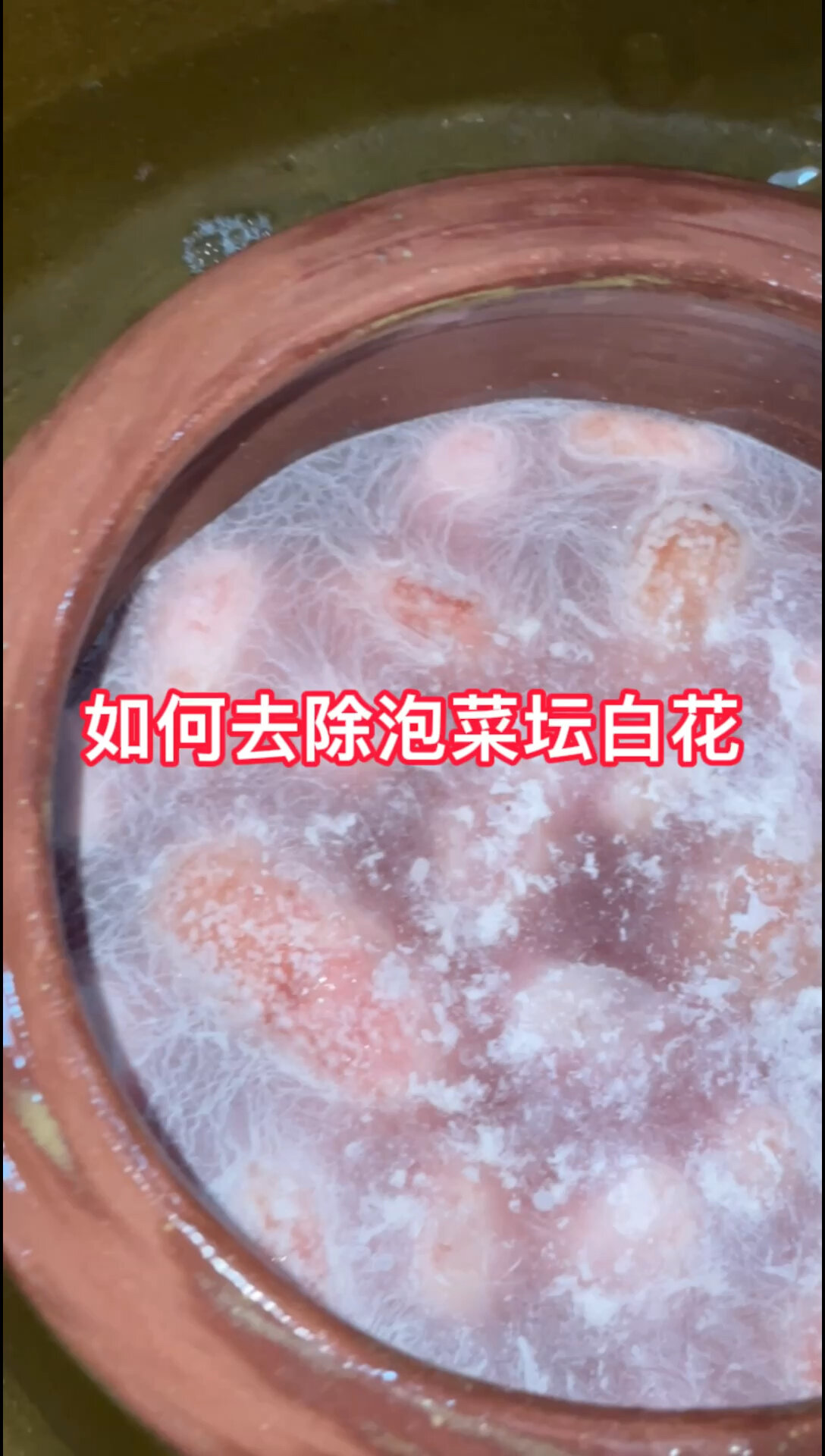 教大家如何去除泡菜坛子白花