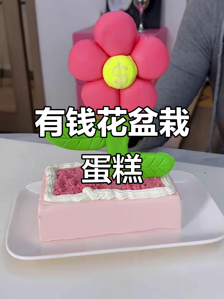 减肥中的女朋友也能享受甜品,有钱花盆栽蛋糕轻松做