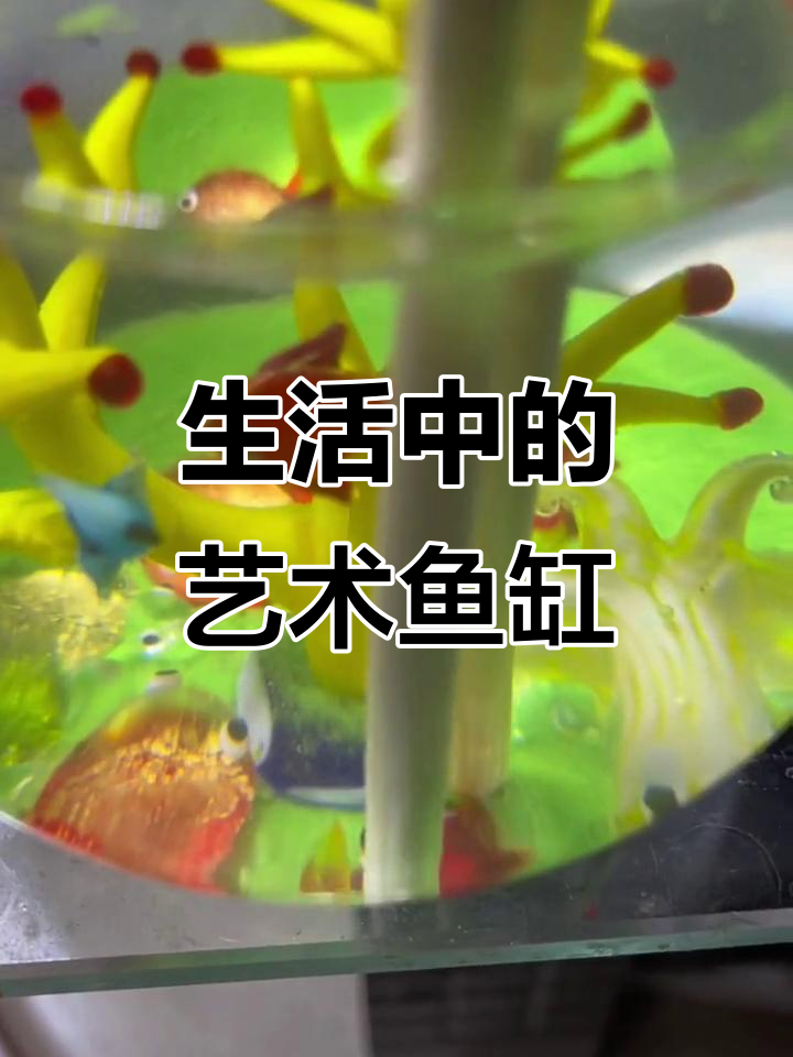艺术与生活的完美融合,鱼缸里的琉璃魅力