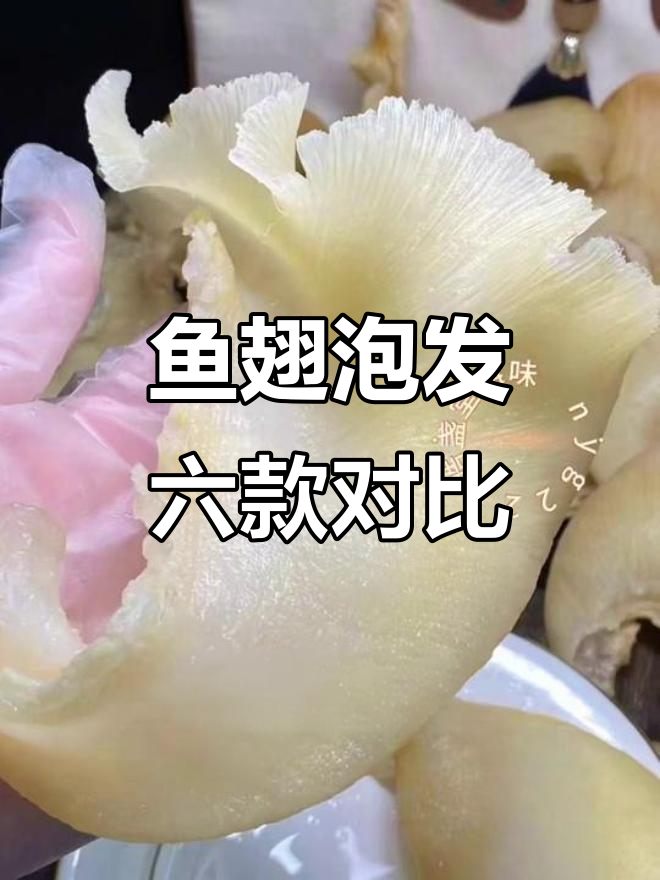 六种鱼翅泡发效果大对比,哪种最适合做捞饭?