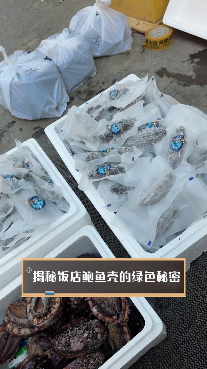 揭秘饭店鲍鱼壳的绿色秘密