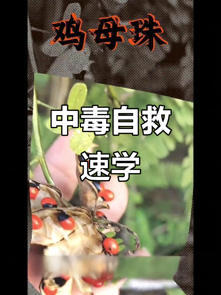 露营必备!20秒教你识别毒草,中毒自救技巧轻松掌握