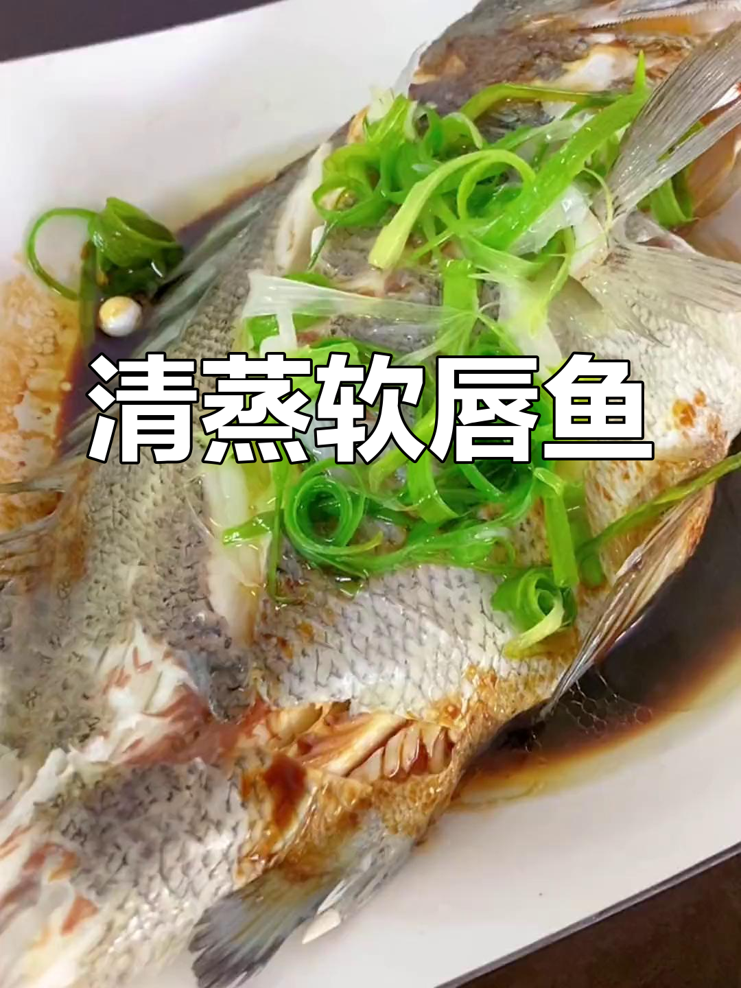 软唇鱼清蒸做法,原汁原味保留海鲜鲜美
