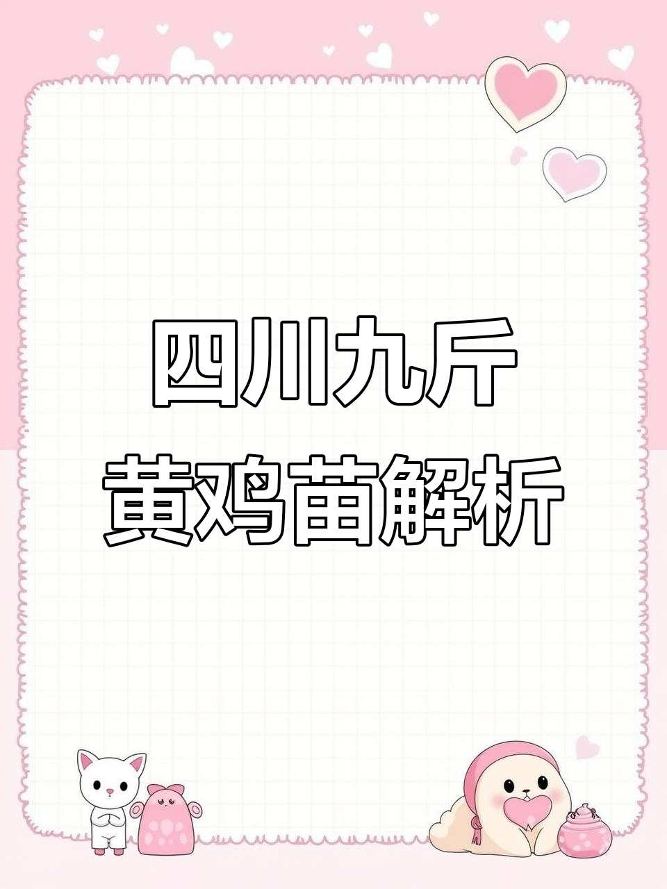 四川九斤黄鸡苗:贵有贵的道理,便宜也有便宜的烦恼