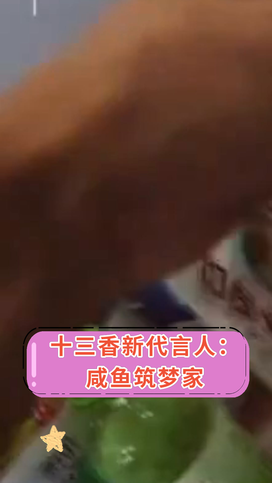 十三香新代言人:咸鱼筑梦家