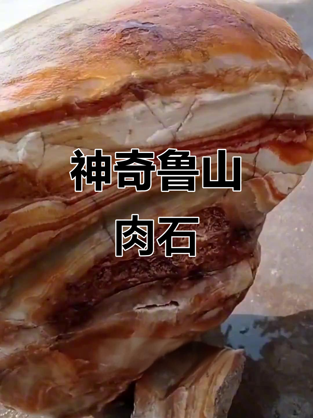 鲁山肉石原石的独特魅力,收藏把玩乐趣多