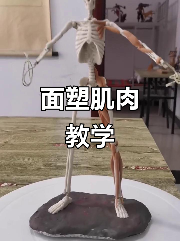 人体肌肉解剖学:从髌骨到腓肠肌的详细解析