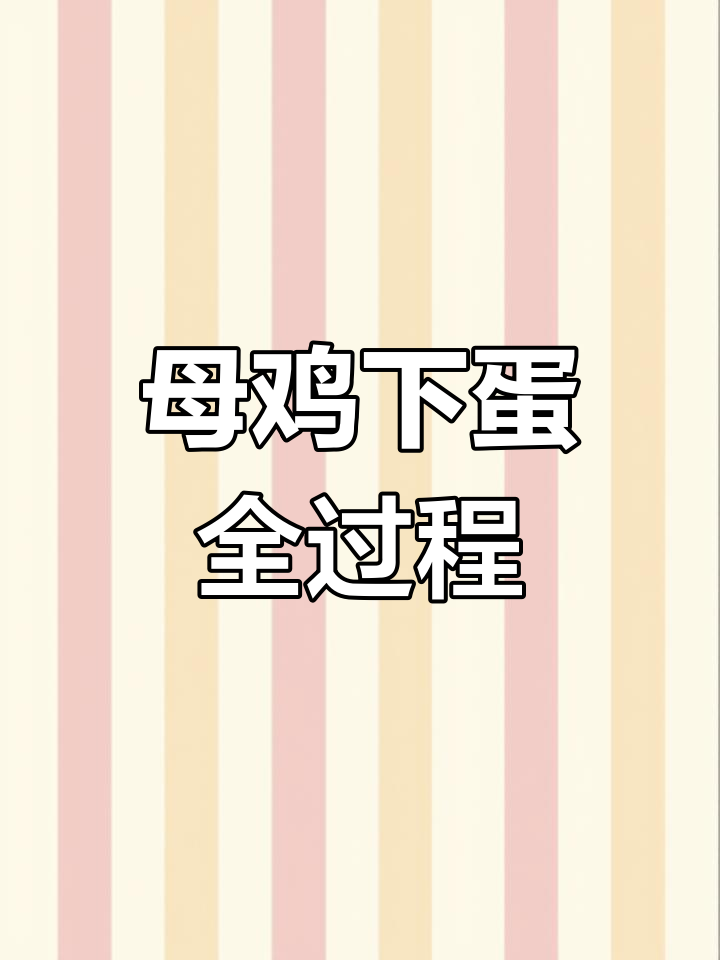 母鸡如何下蛋?揭秘鸡蛋的形成过程