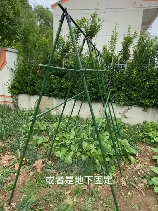 黄瓜豆角爬藤架庭院丝瓜架菜架子种菜瓜果支撑花架户外种植番茄架