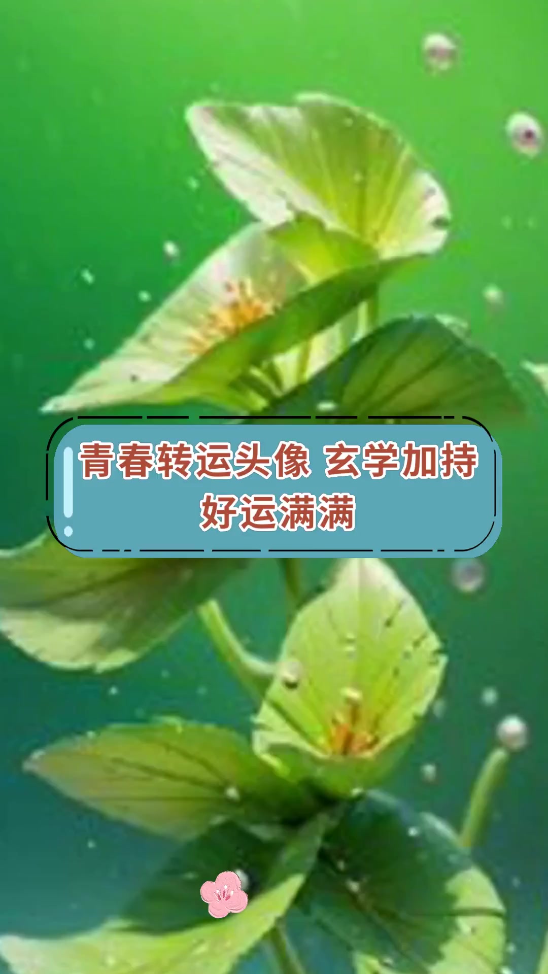 青春转运头像,玄学加持,好运满满