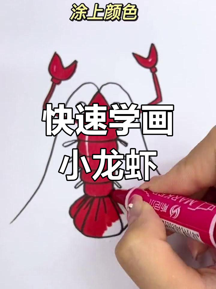 一分钟学会画小龙虾,简单又有趣!