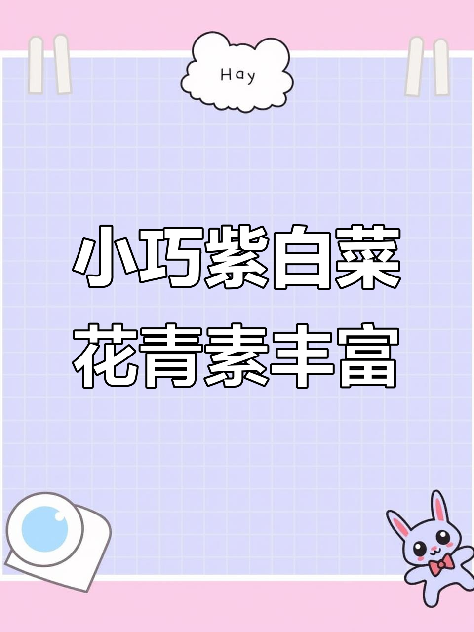 见过紫白菜吗?这种小而美的蔬菜,价格是普通白菜的好几倍