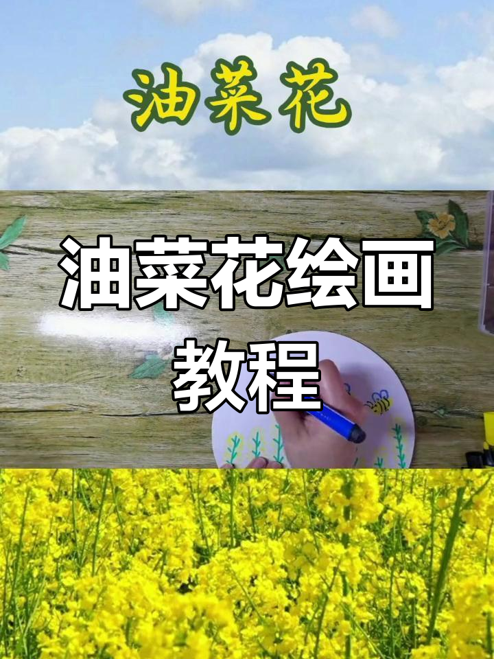 用绿色画茎叶,黄色点缀花瓣,蜜蜂增添生机