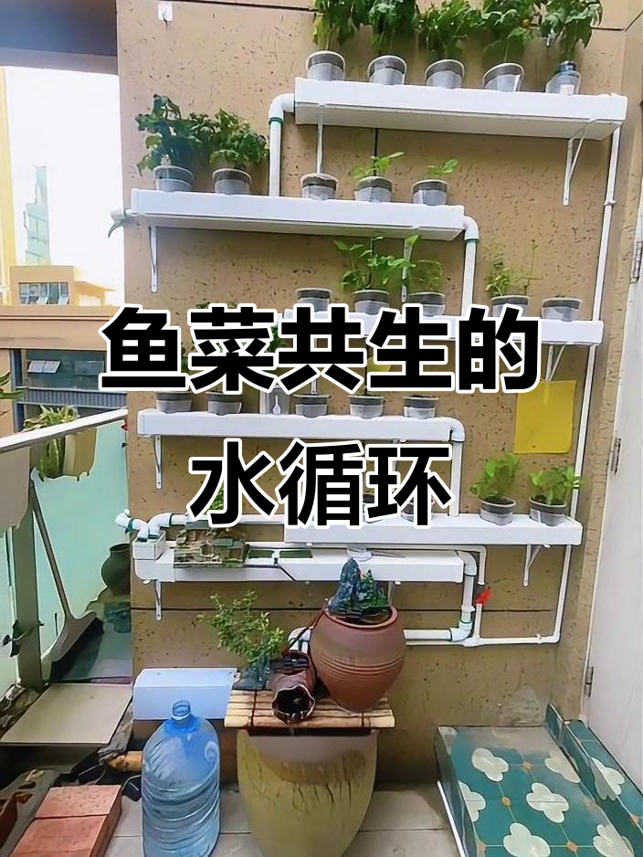 鱼菜共生系统设计揭秘：如何解决水流问题，让植物和鱼儿都健康