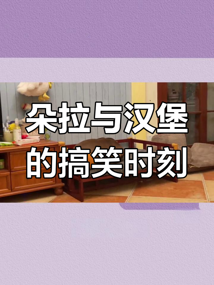 朵拉妹妹和汉堡哥哥的日常,笑点满满