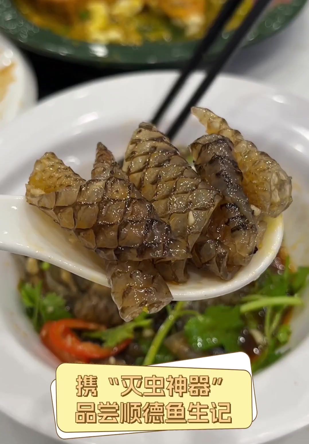 携“灭虫神器”品尝顺德鱼生记