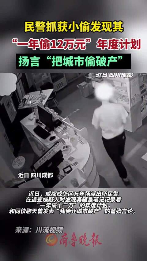 「民警抓获小偷发现其年度计划 扬言“把城市偷破产”」小偷制定年度盗窃计划一年偷12万 近日