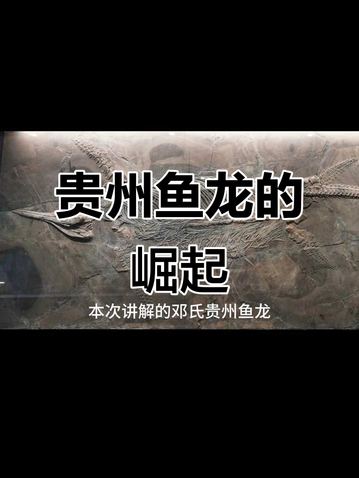 邓氏贵州鱼龙:从蜥蜴到海洋霸主的演变