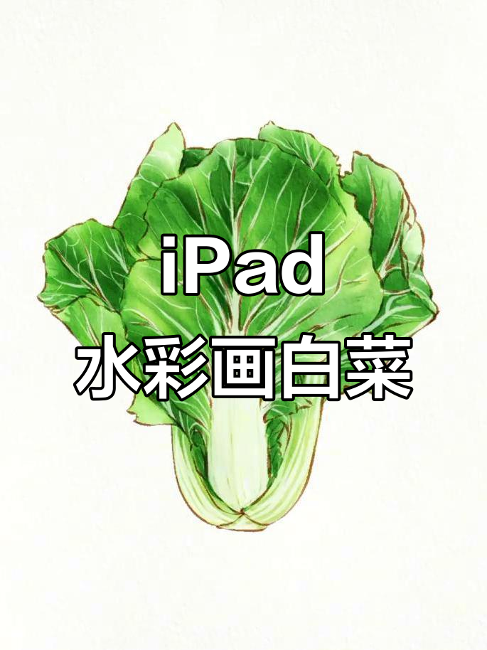 用iPad水彩写生,画出新鲜蔬菜白菜的生动细节