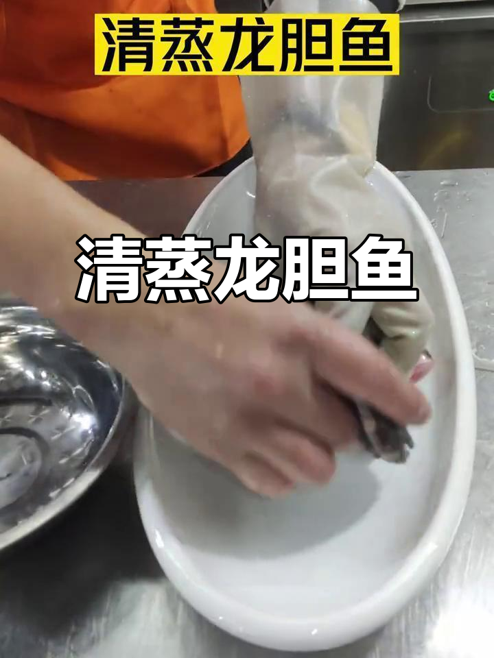 清蒸龙胆鱼,莆田海鲜美味大揭秘