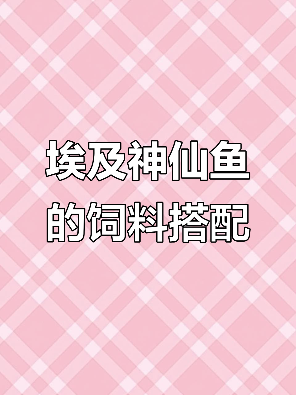 埃及神仙鱼成长全攻略:从喂食到繁殖阶段详解