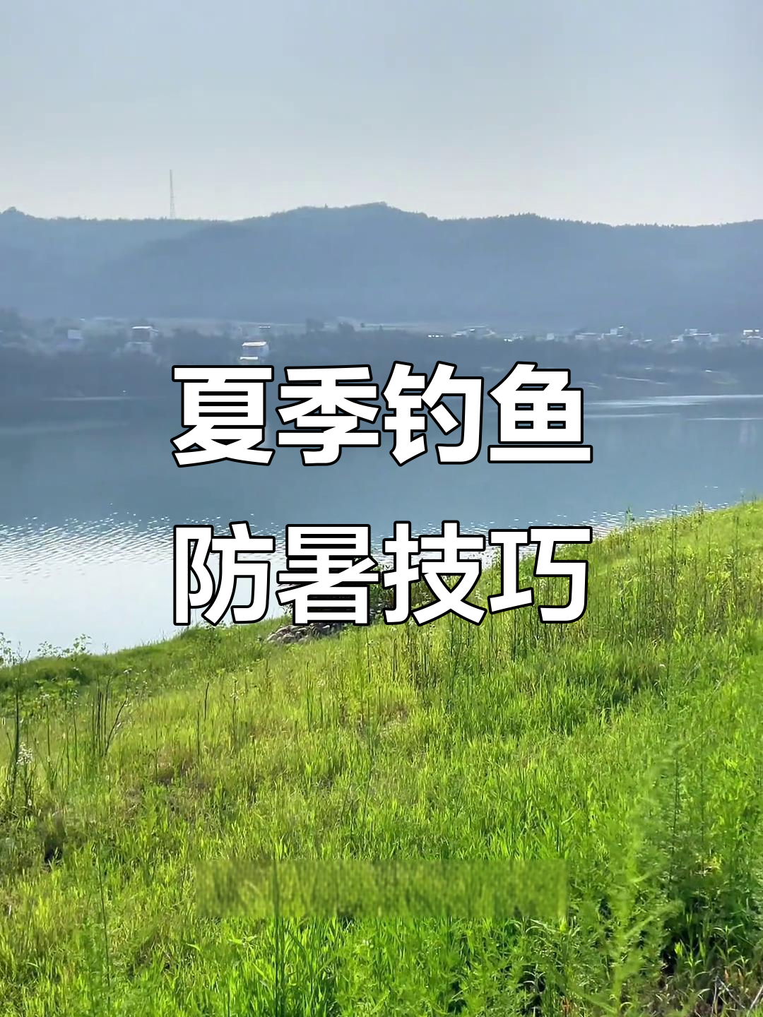 夏日钓鱼避暑指南,找到凉爽的野钓地点