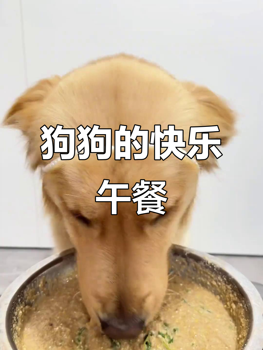 金毛干饭日常:老三样+鸡心,吃得超开心