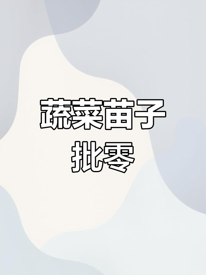 蔬菜苗批发零售,全国各地发货,辣椒苗等品种齐全