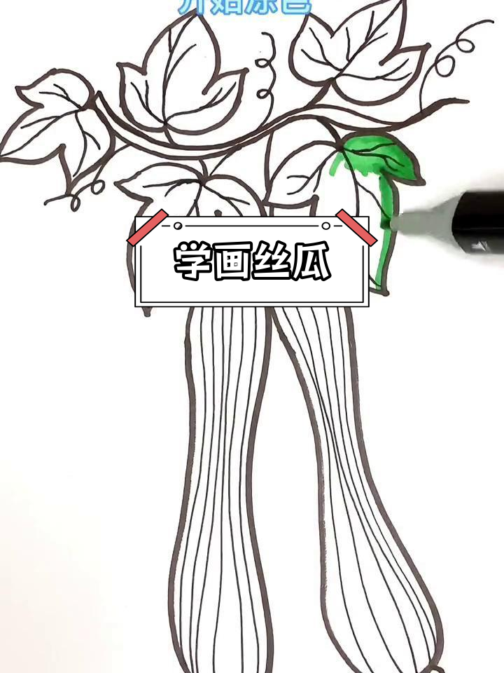 丝瓜简笔画教程,轻松学会