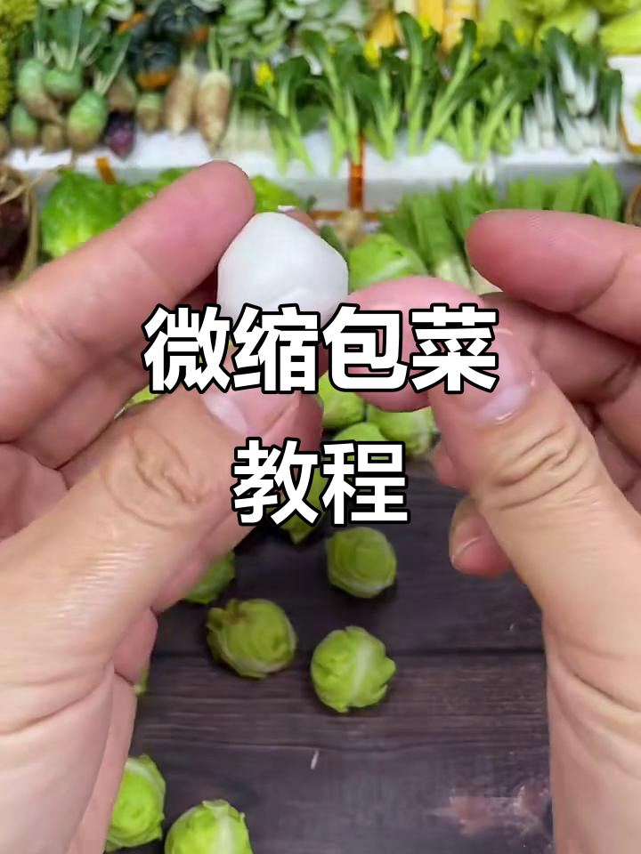 微缩粘土包菜制作教程,轻松学会可爱小蔬菜