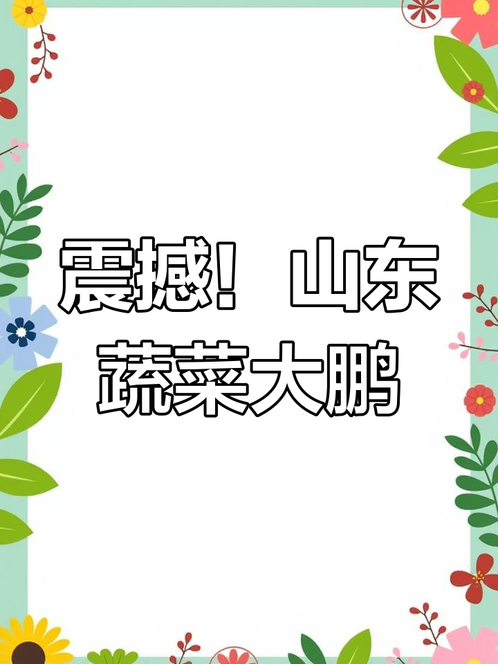 山东蔬菜大棚一望无际,麦田与海相连