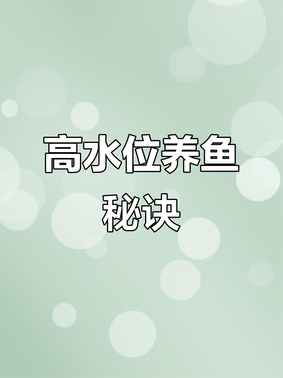 兰寿金鱼适合深水养殖,实践证明生长迅速且颜色鲜艳