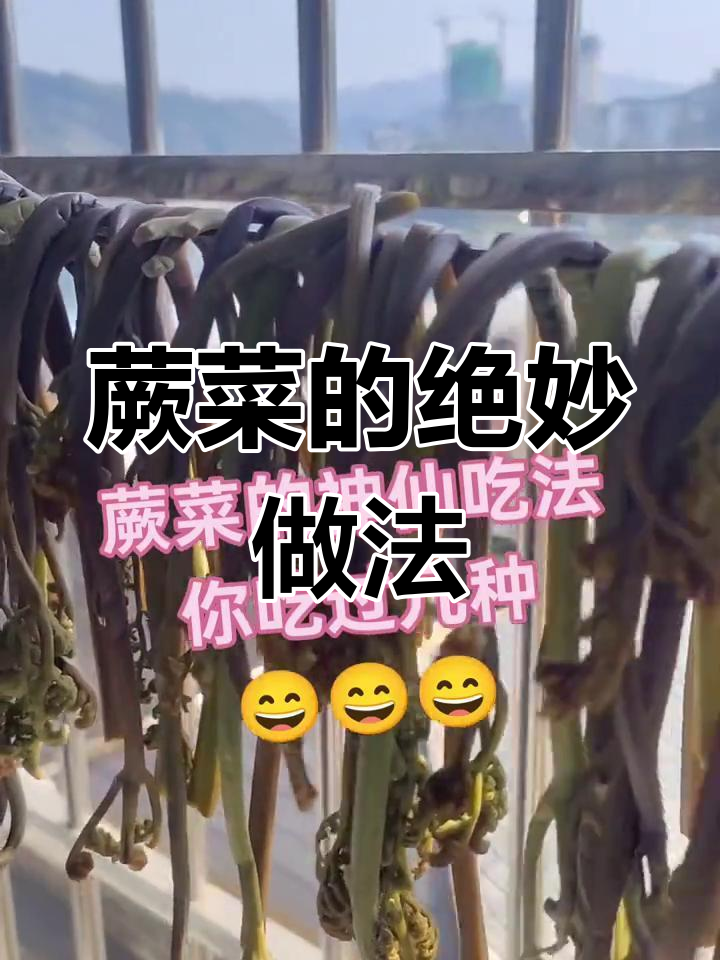 蕨菜神仙吃法大揭秘,哪种做法最让你心动?