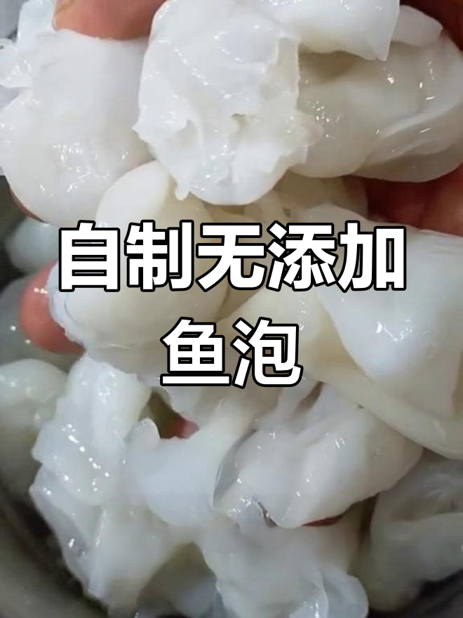 鲤鱼泡发制全过程揭秘