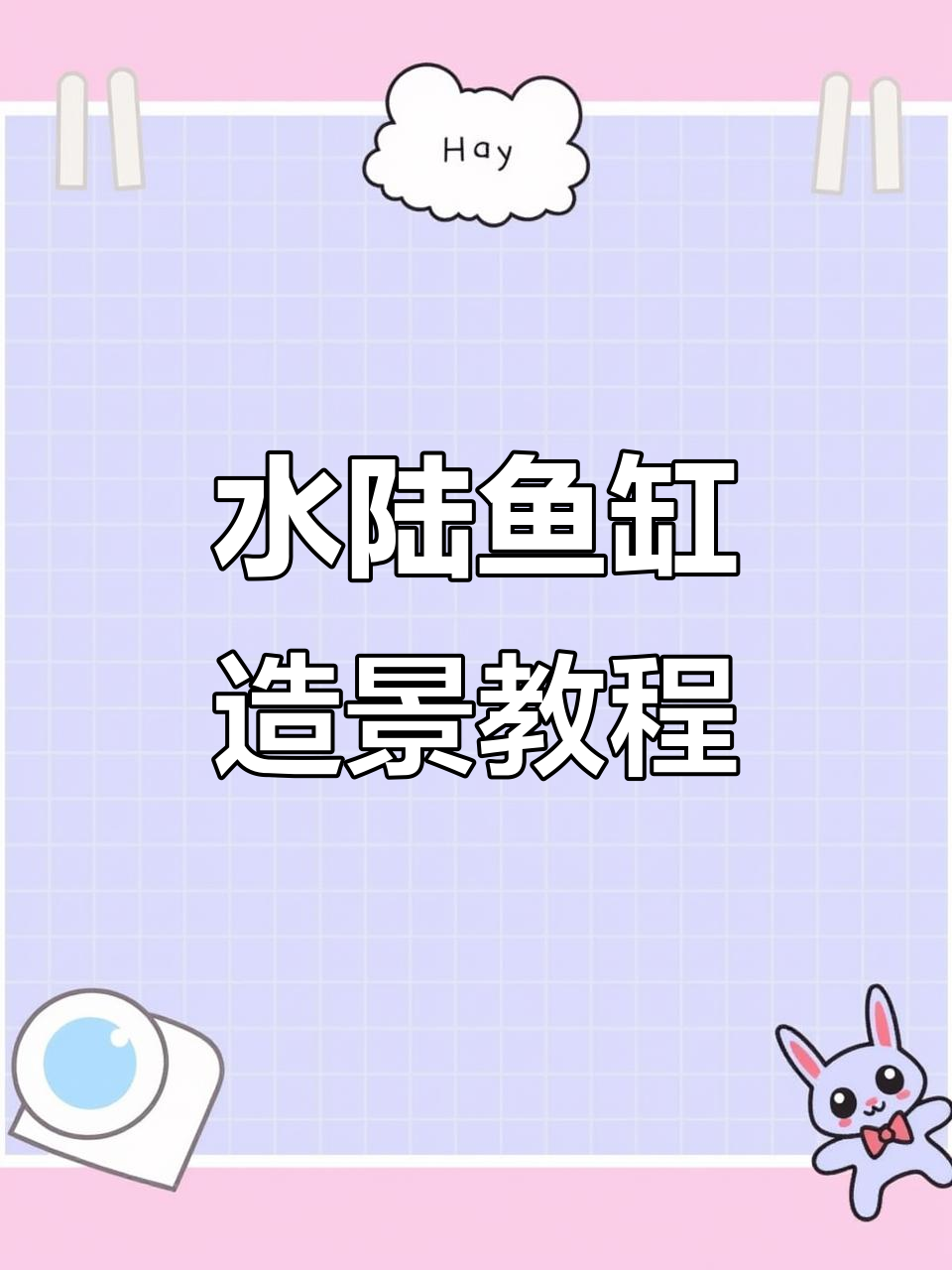 鱼缸造景大揭秘！水陆造型轻松打造，步骤超简单