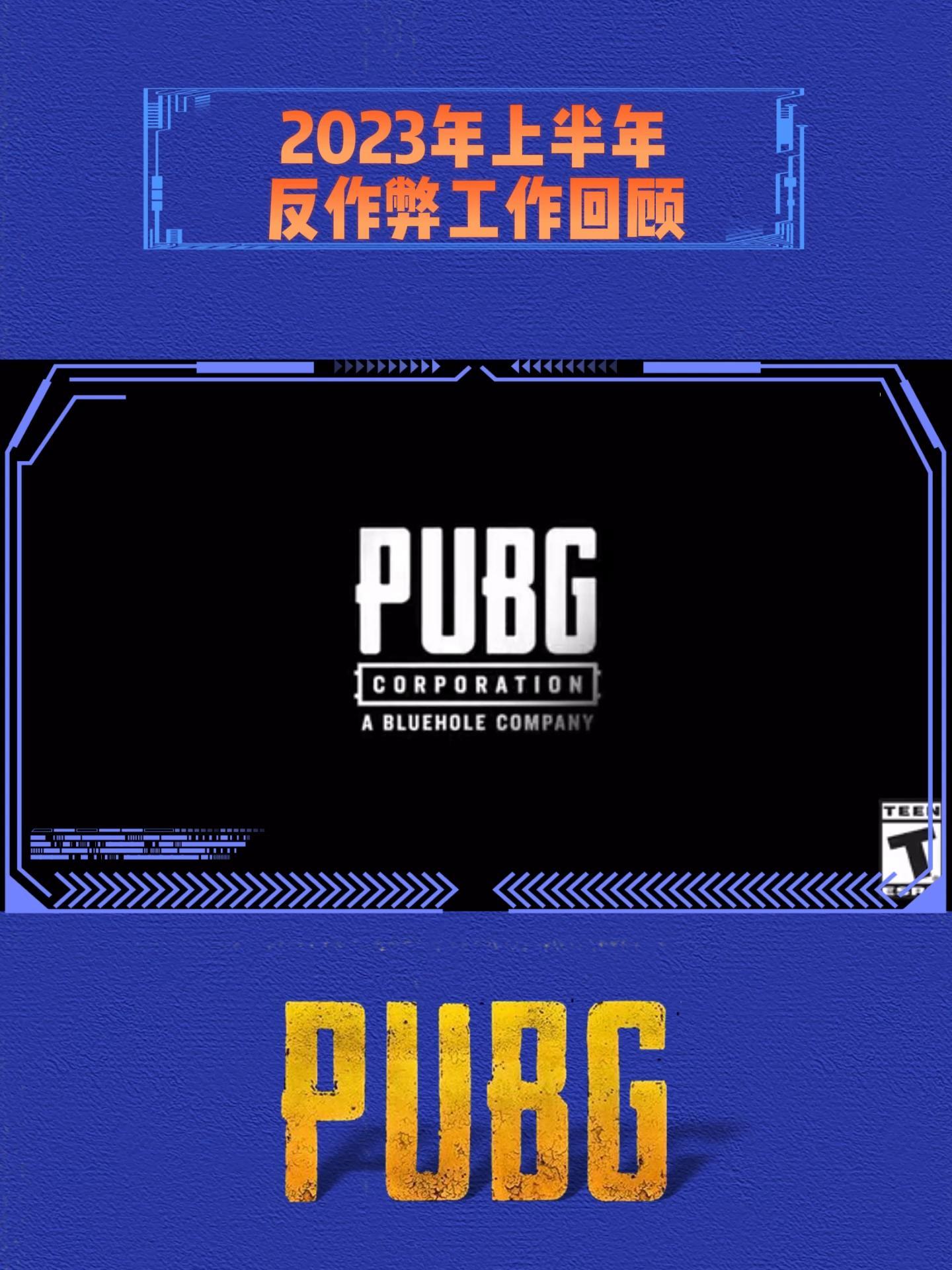 你觉得PUBG上半年的反作弊工作做的怎么样?PUBG 绝地求生 评估鉴定
