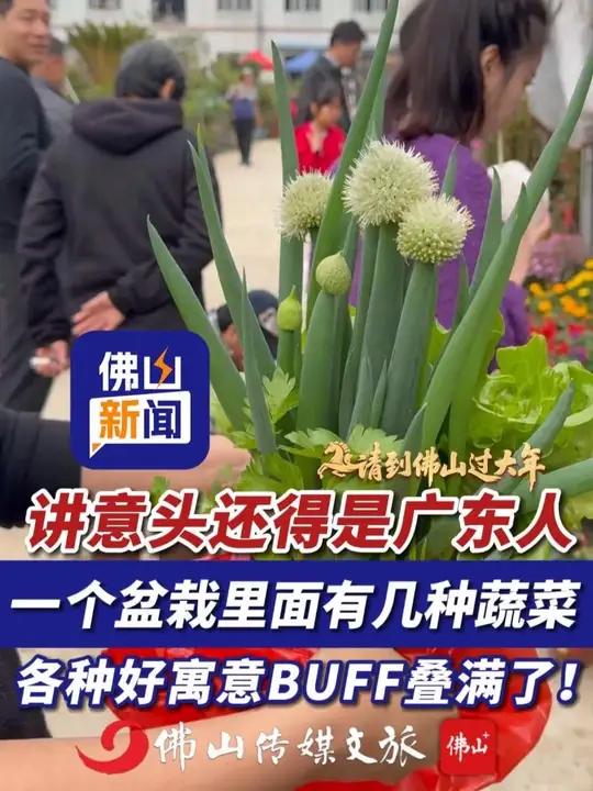 讲意头还得是广东人!一个盆栽里面有几种蔬菜,各种好寓意BUFF叠满了!(编辑:曹梓俊;责编