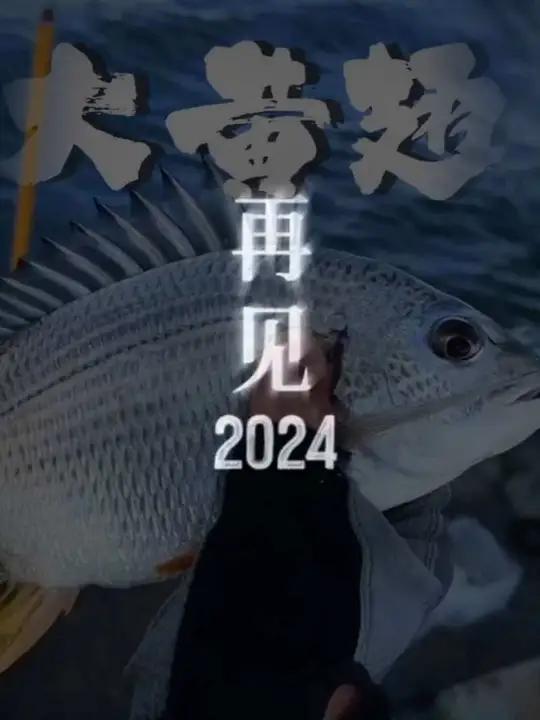 2024年度钓鱼回忆 2024年钓鱼的日子打龟也好,爆护也罢,终将过去,期待新的一年202