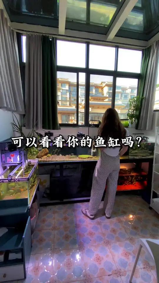 马上要开一口60×40×40缸和一口100×20×30缸,征集造景素材了兄弟们!可以看看你